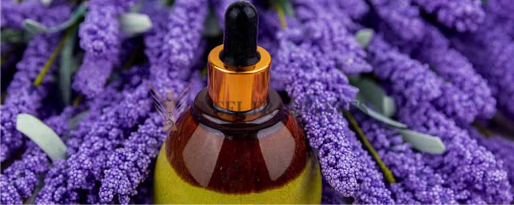 Aceite de masaje de lavanda orgánico de aromaterapia pura