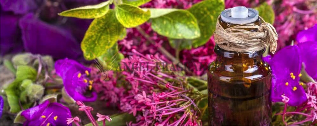Aceite de sabio de aromaterapia pura