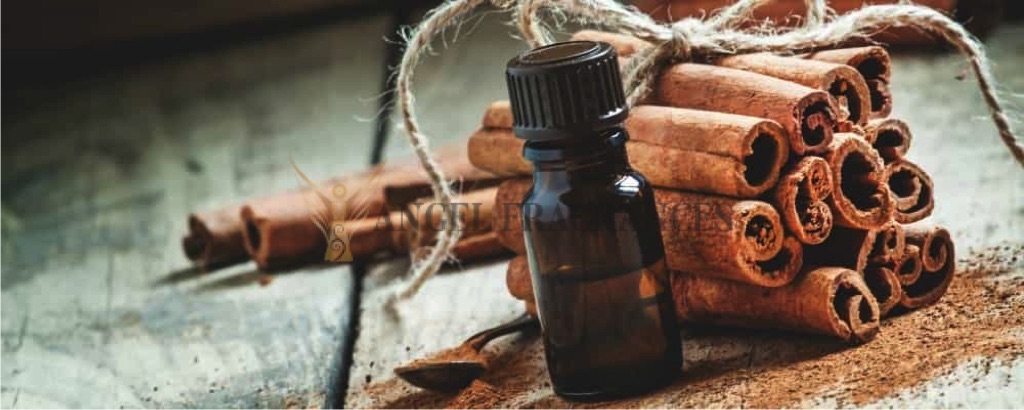 Aromaterapia pura Aceite de corteza de canela