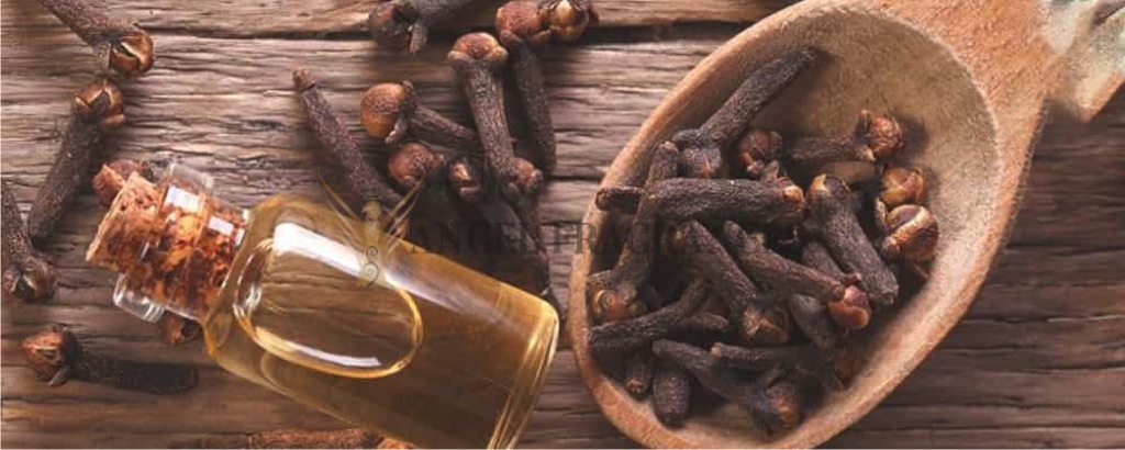 Aceite de brote de aromaterapia pura