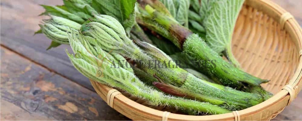 Huile de spikenard aromathérapie pure