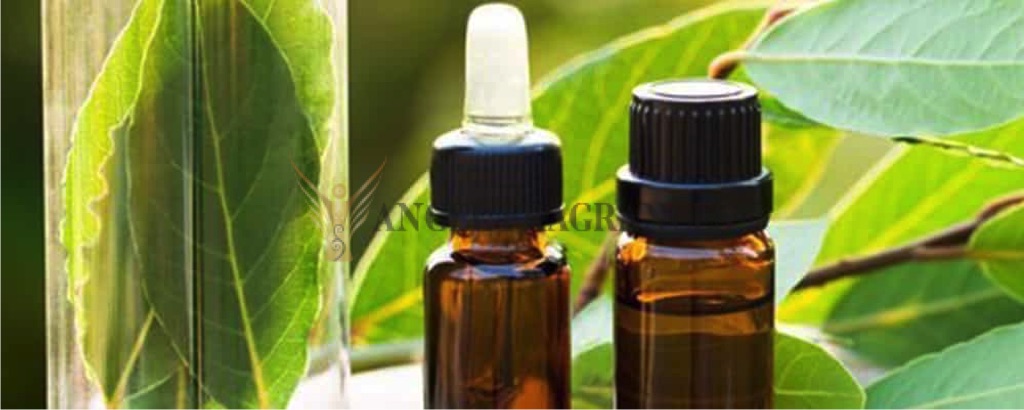 Pure Bay Leaf Essential Oil