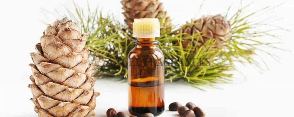 Aceite esencial de cedro de atlas puro