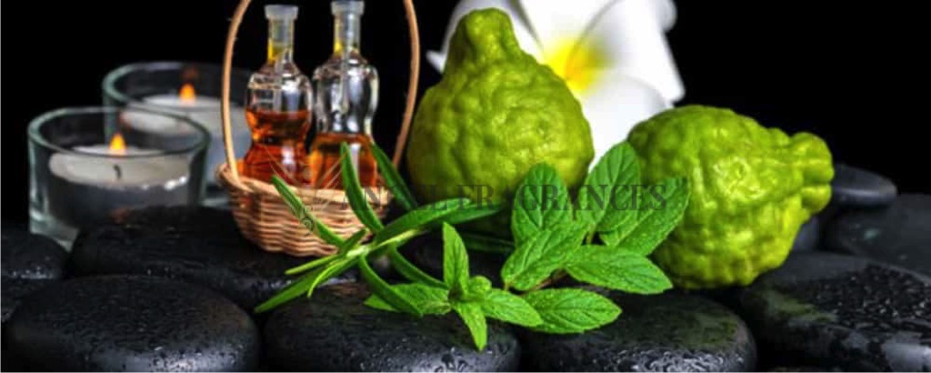 Pure Bergamot Mint Oil Essential