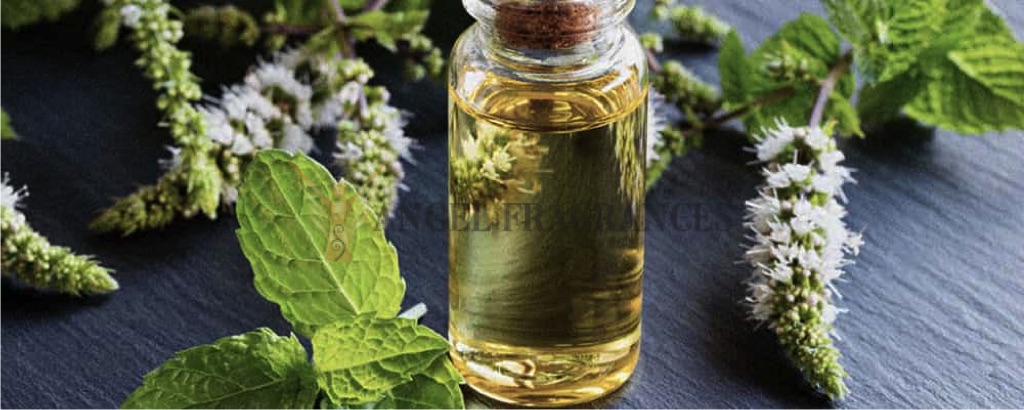 Purecajuput Oil esencial