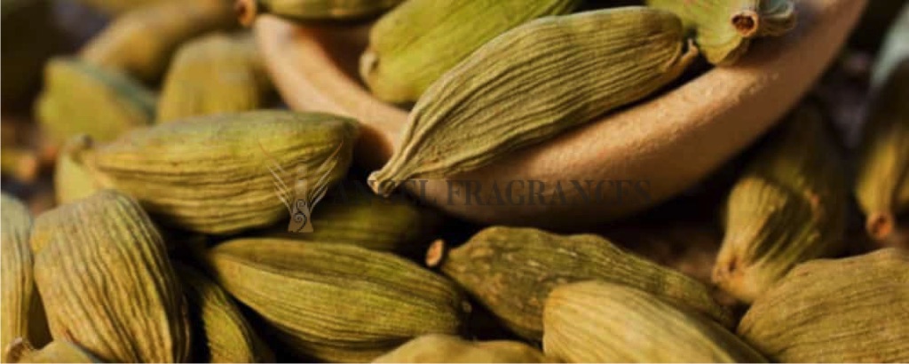 Huile essentielle de cardamome pure