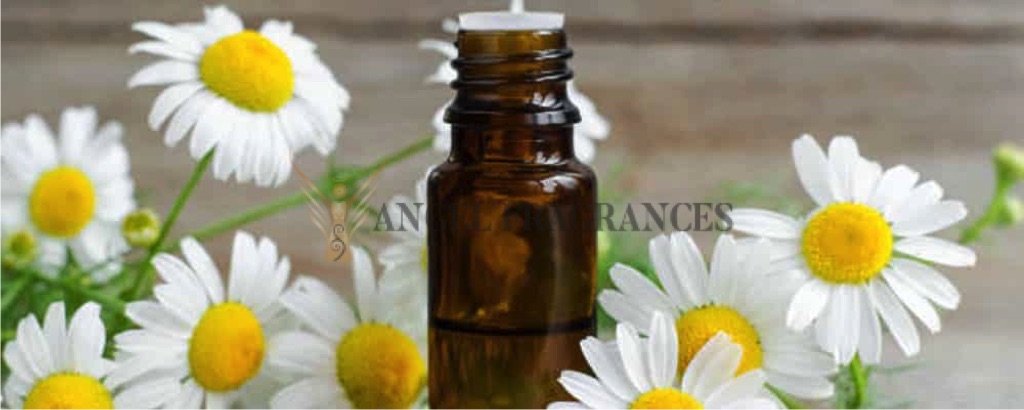 Manzanilla Aceite esencial alemán