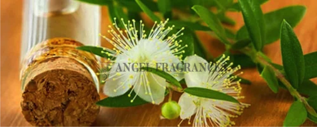 Aceite esencial de Myrtle