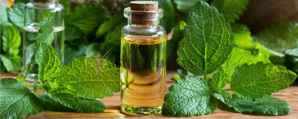 Patchouli Essential Oil