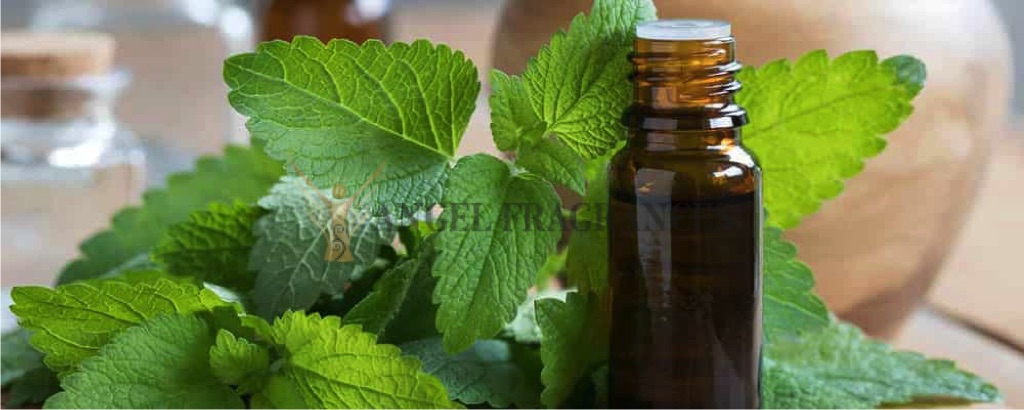 Peppermint Essential Oil