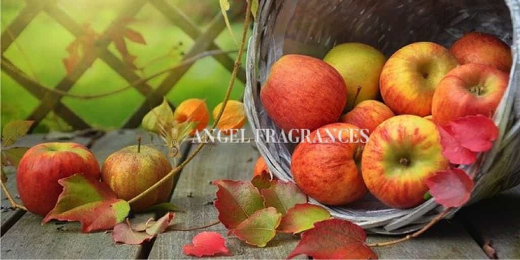 Acheter Huile de parfum de bumpkin country