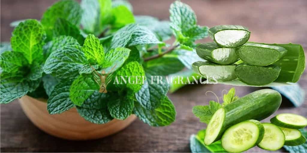 Acheter CUCUMBUME & ALOE VERA PRAUTRANCE