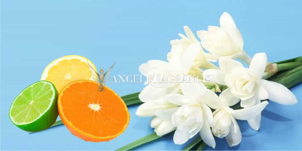  buy Donna Che Bella Fragrance Oil
