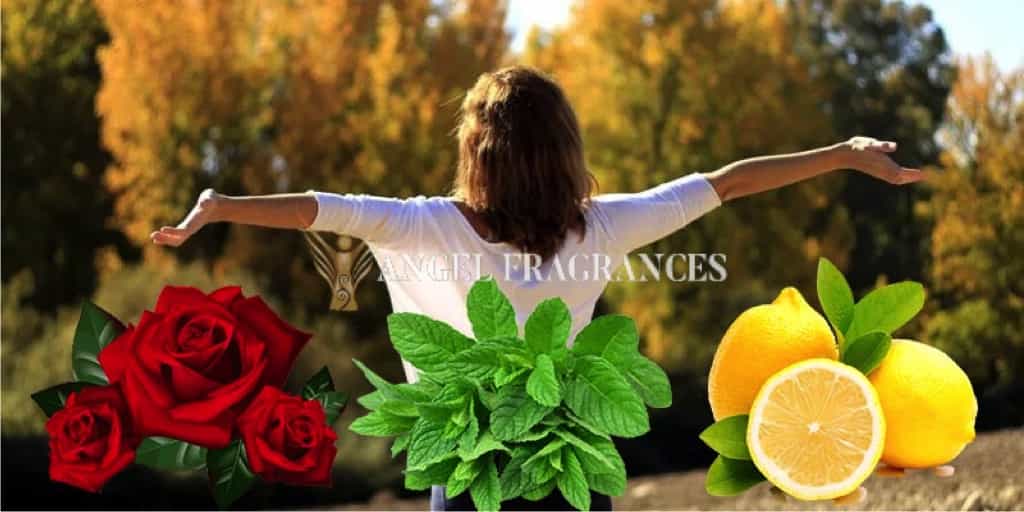  buy Energizing Aromatherapy Fragrance Oil