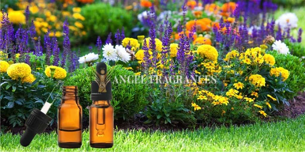  buy Garden Country Fragrance Oil
