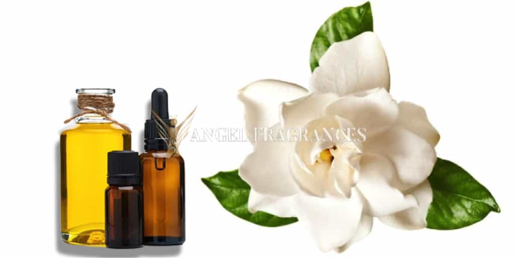 Acheter Huile de parfum blanc gardénia