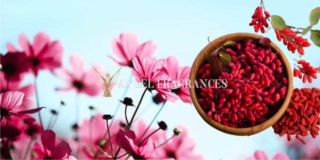  buy Goji Berries & Pink Daisies Fragrance Oil