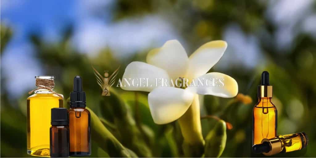  buy Hawaiian Flower Puakenikeni Fragrance Oil