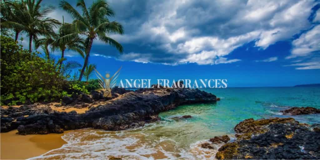 Acheter Huile de parfum de week-end de Maui