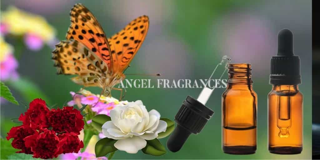 Acheter Huile de parfum de papillon Meadows