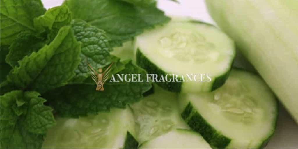  buy Mint Cucumber Fragrance Oil