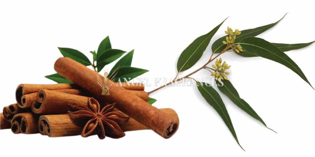 Acheter Huile de parfum foncé musc