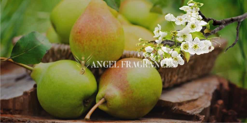  buy Pear Blossoms Anjou Fragrance Oil
