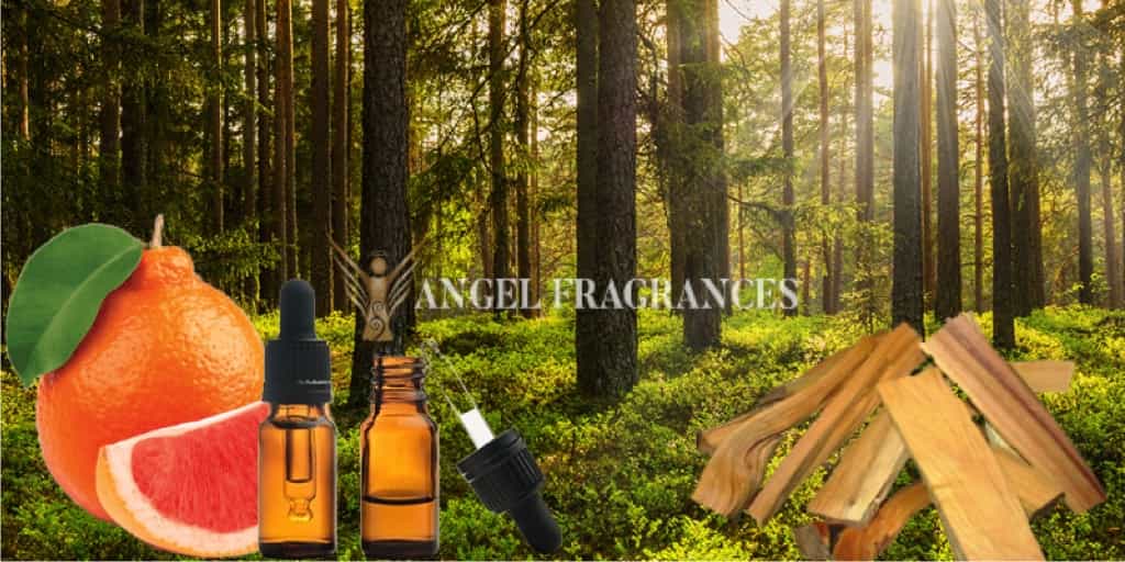Acheter Crépuscule dans l'huile de parfum de bois
