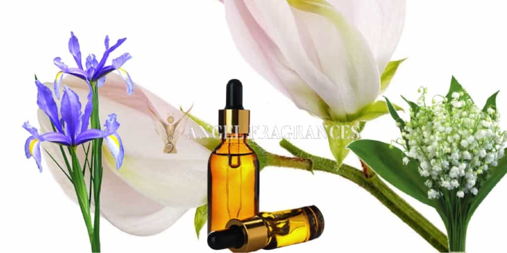  buy Vanilla Sweet Pea Fragrance Oil
