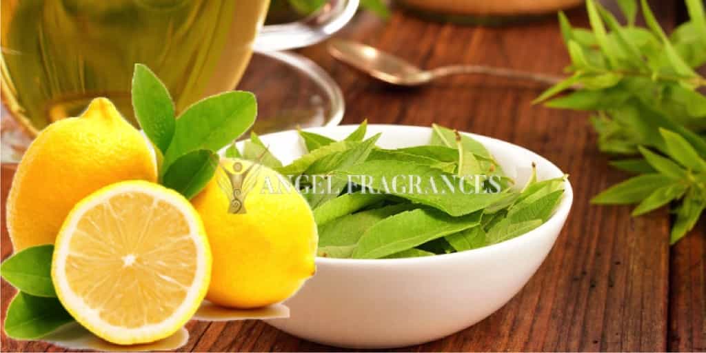  buy Verbena Lemon Fragrance Oil