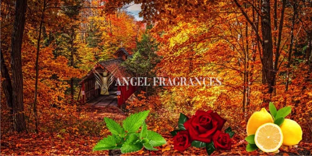 Acheter Huile de parfum d'automne de bois